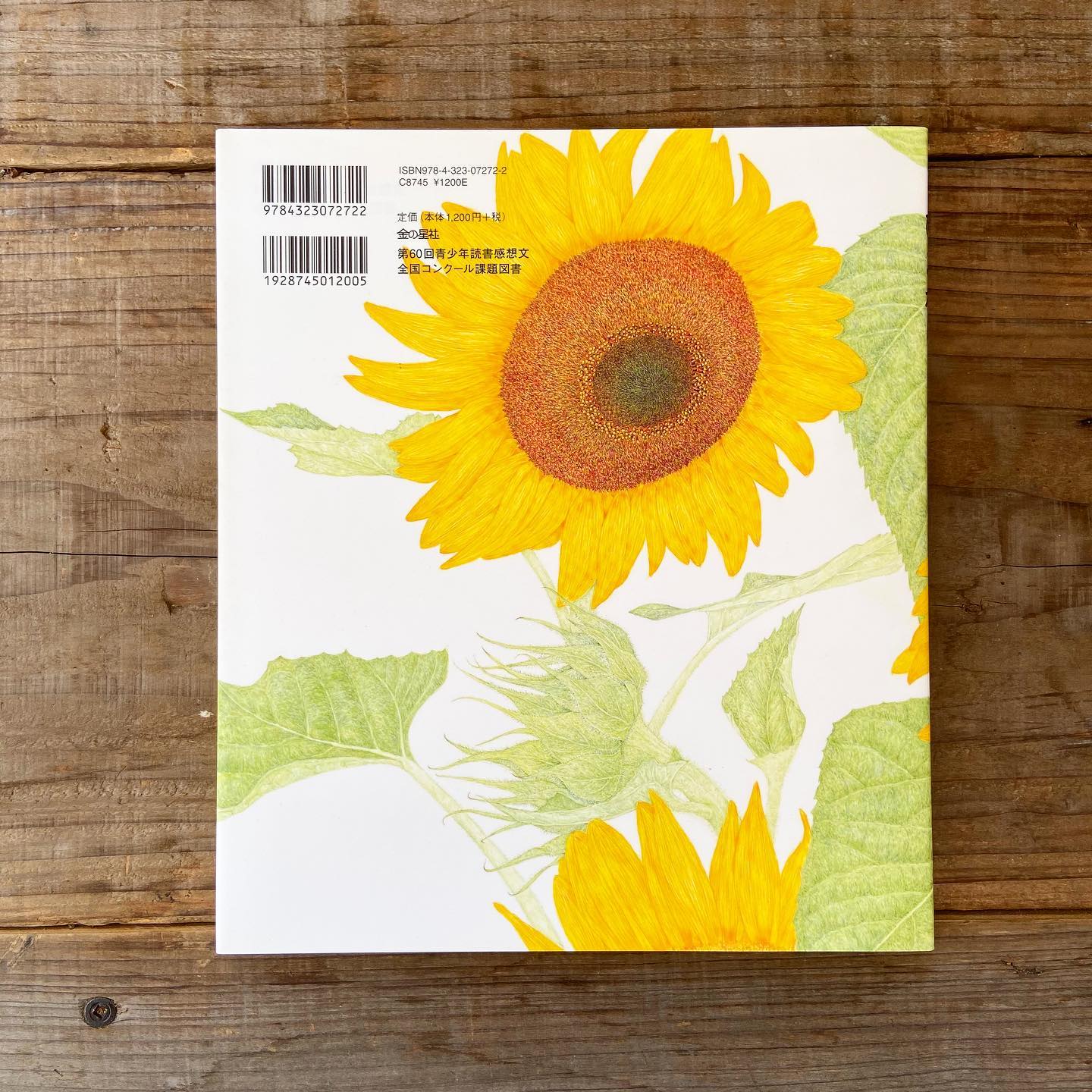 【50％OFF】 ひまわり 絵本 荒井真紀 | 絵本とこども道具kiwi 絵画