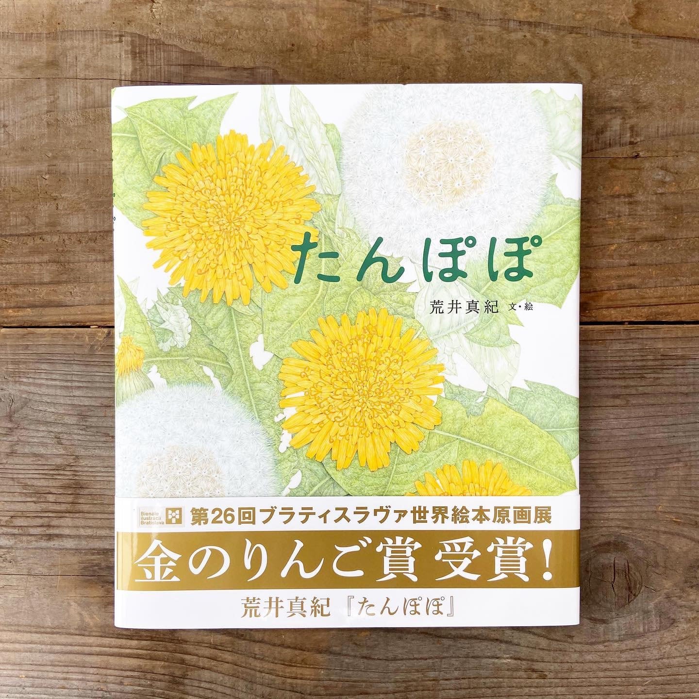 たんぽぽ 絵本 | 絵本とこども道具kiwi