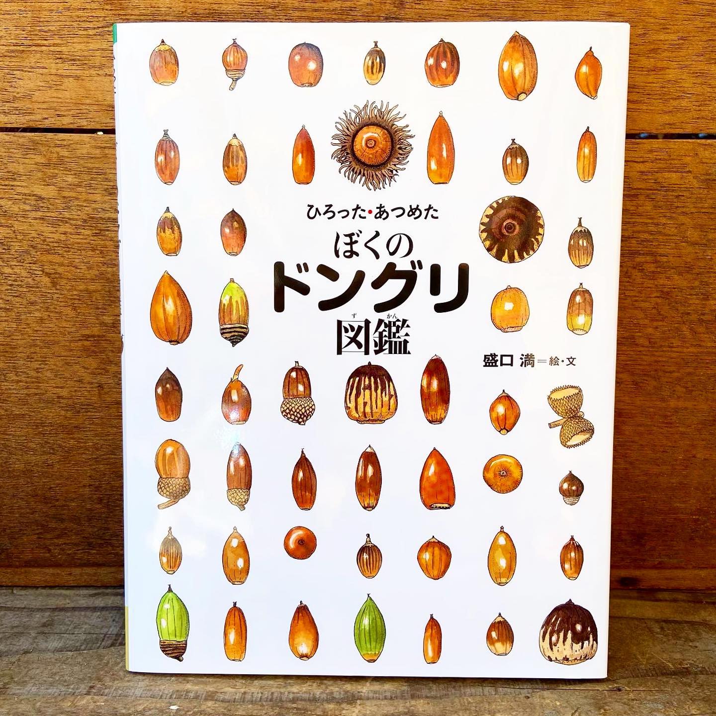 どんぐりアート　のんページ どんぐりアート のん様専用ページ - メルカリ