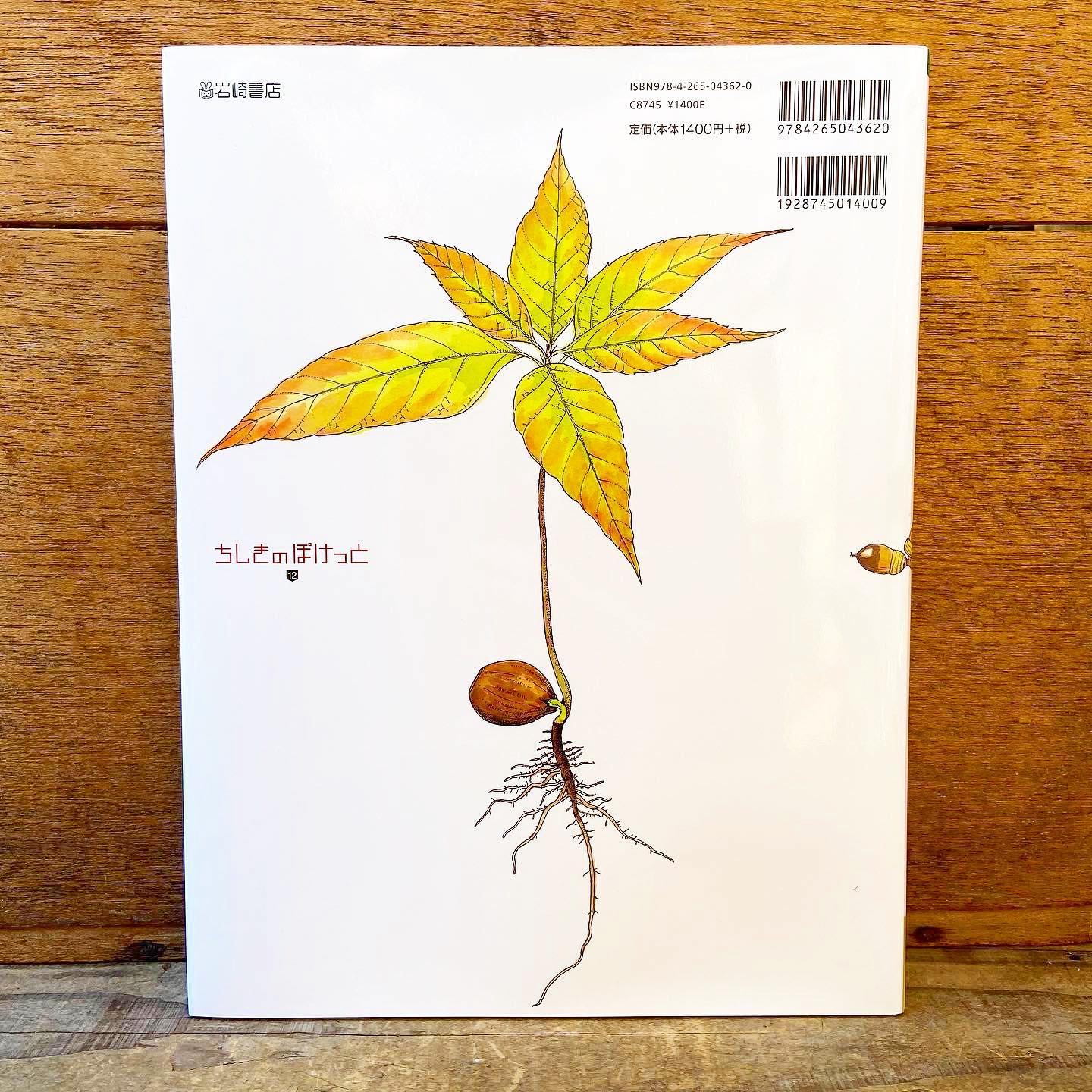 ひろった・あつめた ぼくのドングリ図鑑 盛口満 岩崎書店 | 絵本と