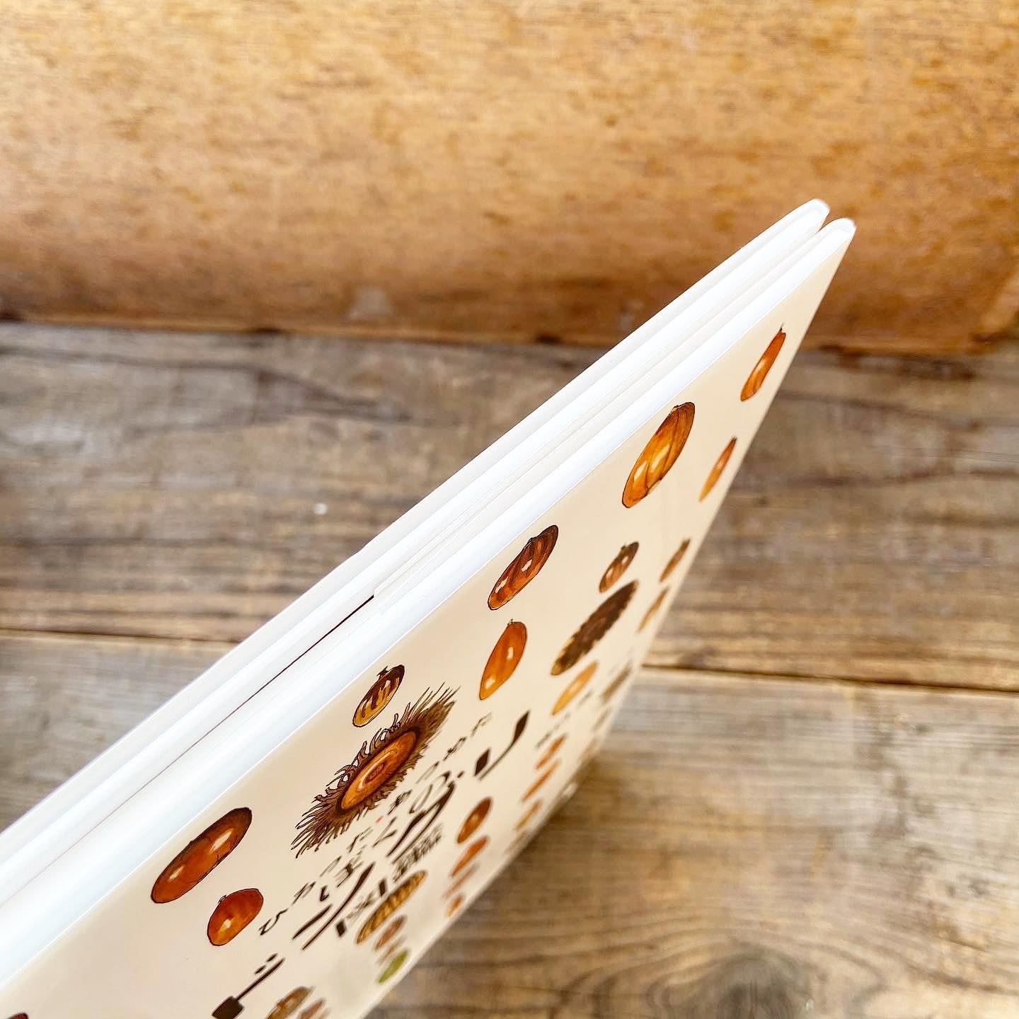 ひろった・あつめた ぼくのドングリ図鑑 盛口満 岩崎書店 | 絵本と