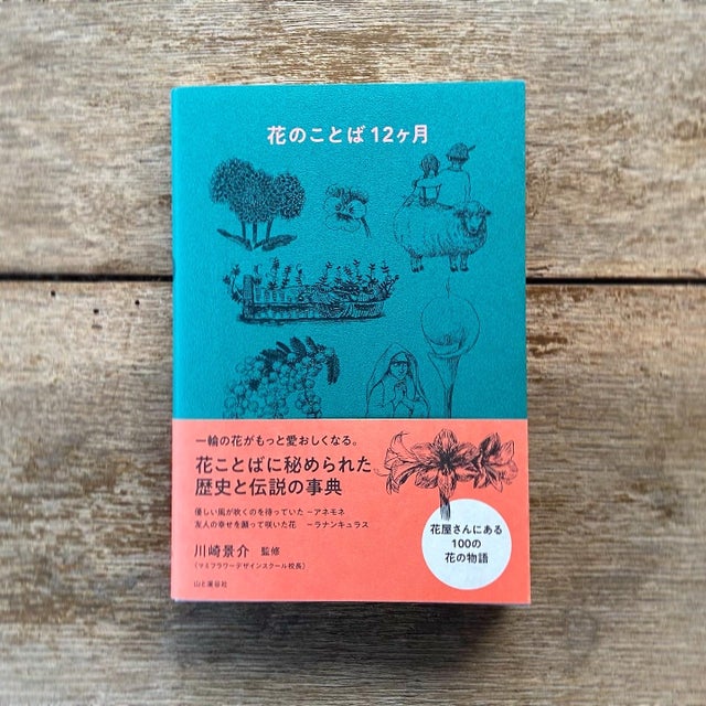 【中古】 岩手の野草百科 岩手の野草百科 (カラー百科シリーズ) | 澤口たまみ |本 | 通販 | Amazon