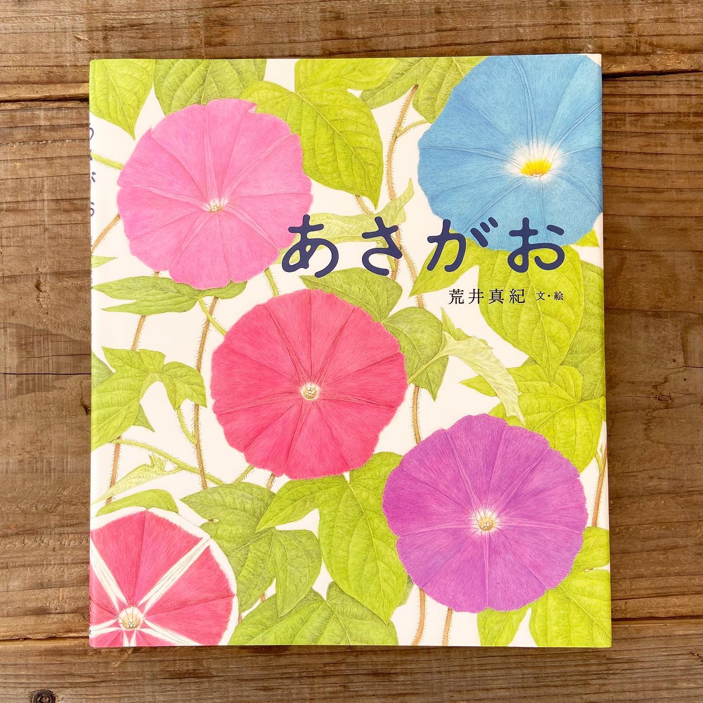 あさがおページ あさがお 絵本 | 絵本とこども道具kiwi