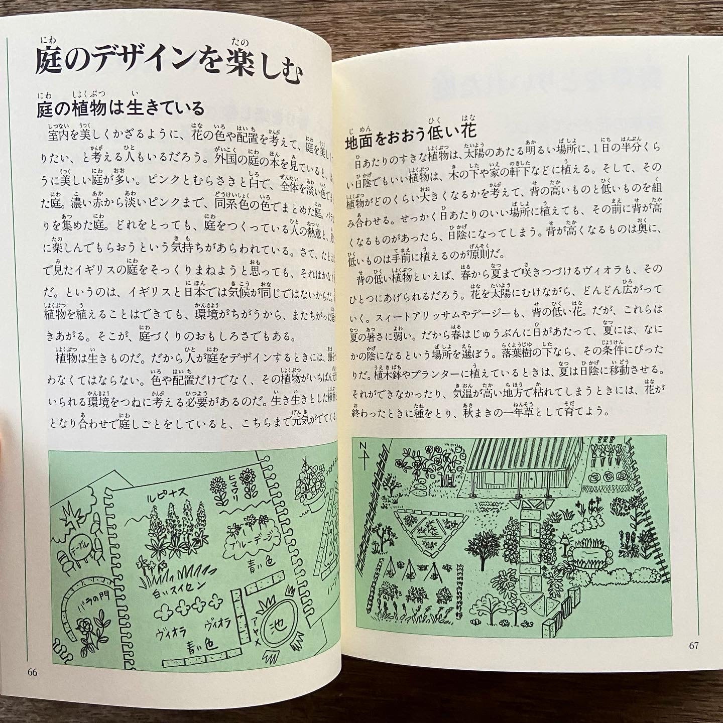 園芸事典 園芸図鑑 福音館書店 | 絵本とこども道具kiwi