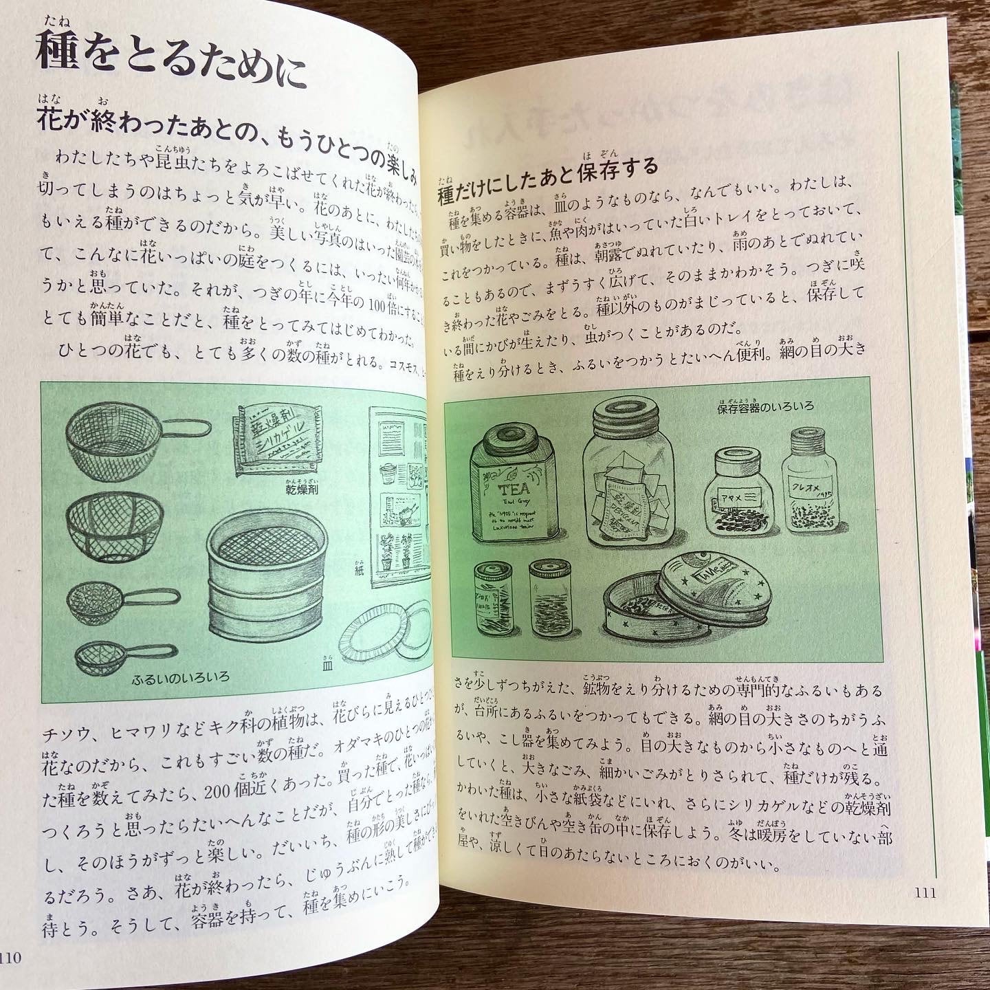 福音館書店 遊び 情報 料理 冒険 飼育栽培 自由研究 生活 園芸 工作 図鑑｜絵本・児童書